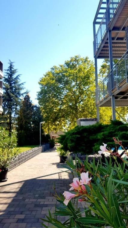 Hotel Csopak Resort & Lake エクステリア 写真